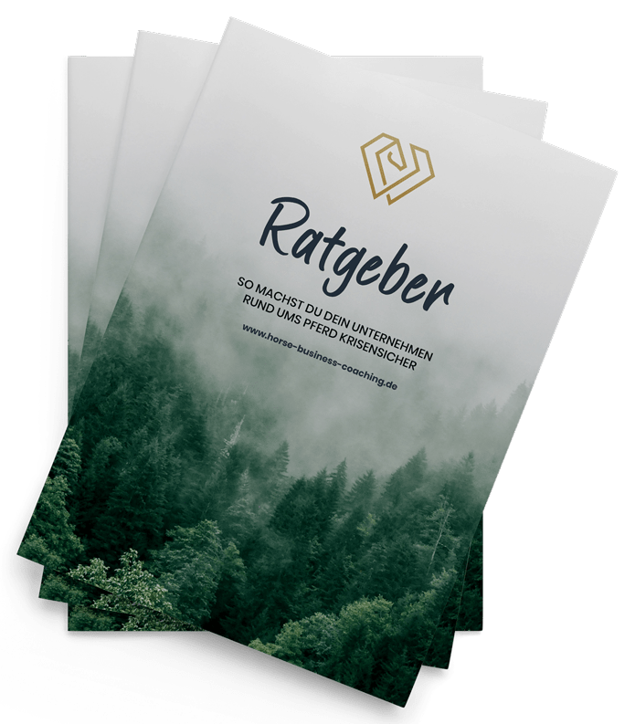 Mockup-Ratgeber-Cover-min-min