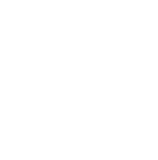 icon-2-min