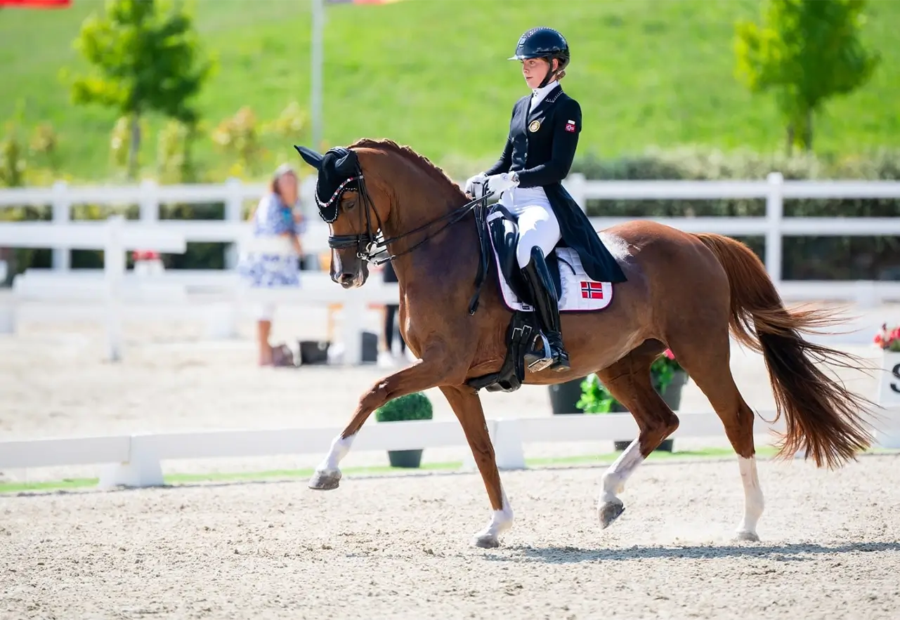 Franke-und-Winter-Horse-Business-Coaching-Marketing-Beratung-Websiteerstellung-Pferdebereich-Pferdebranche-Kunde-Celina-Bodstangen Franke-und-Winter-Horse-Business-Coaching-Marketing-Beratung-Websiteerstellung-Pferdebereich-Pferdebranche-Kunde-Celina-Bodstangen