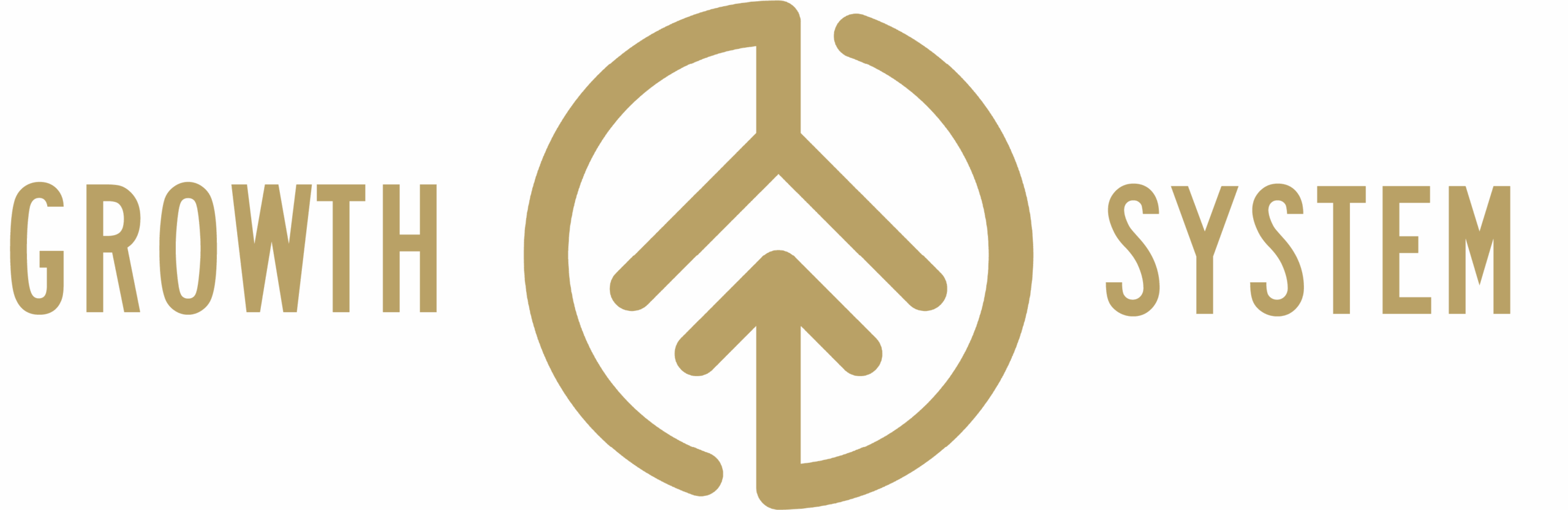 growth-system-horse-business-coaching-1 (1)