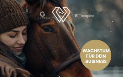 Wachstum für dein Pferde-Business: 5 Regeln