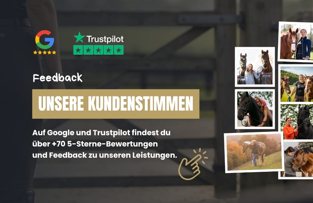 Kachel-Kundefeedback_Testimonials-Horse-Business-Coaching