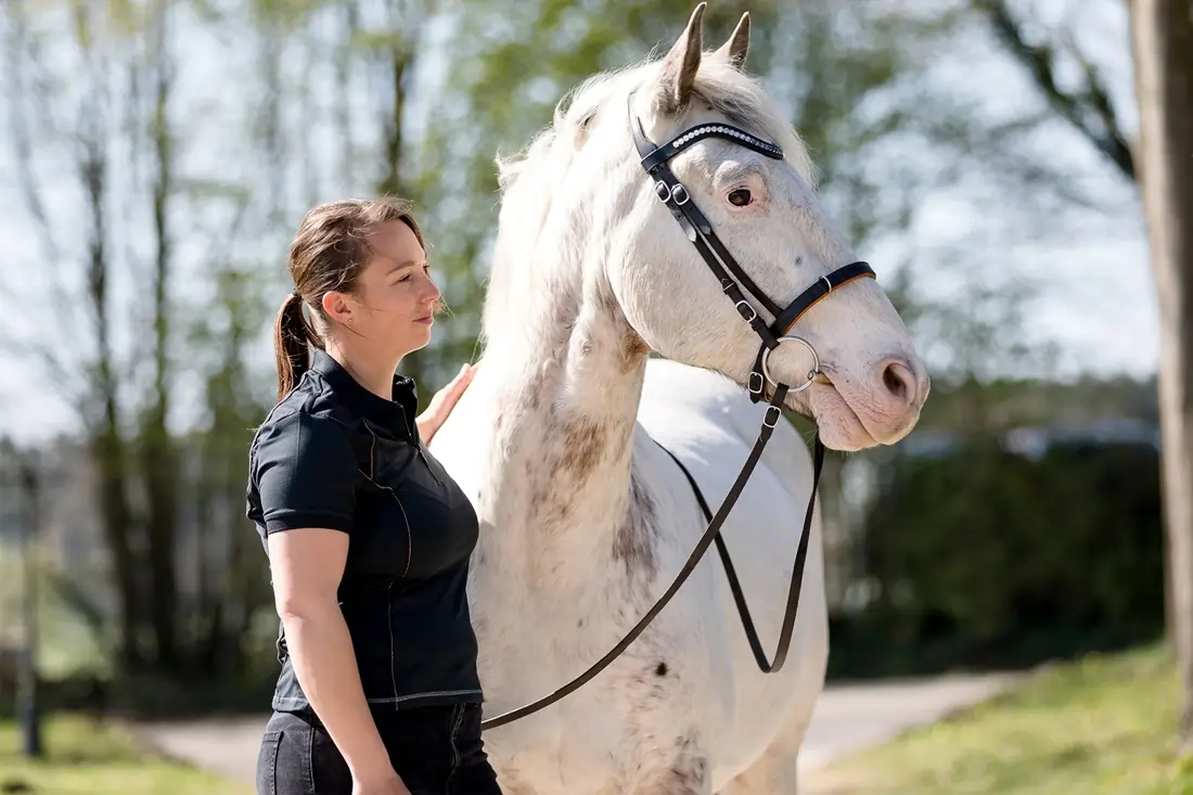 horse-business-coaching-anna-niering